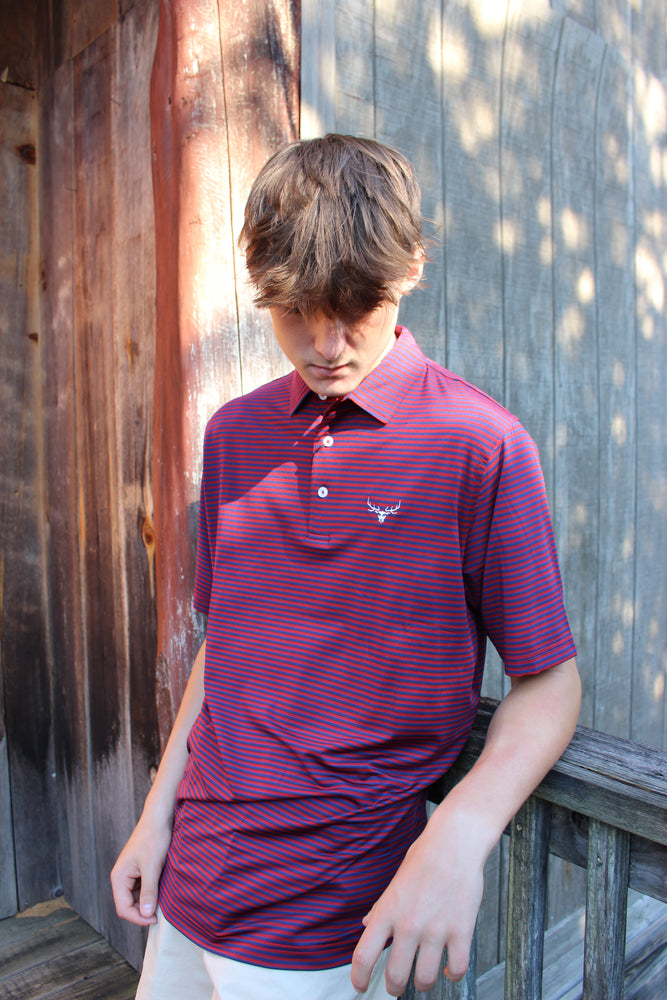 Elkmont Men's Arctic Striped Polo