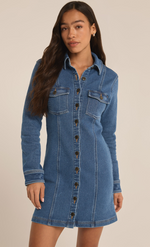 Z Supply Candice Knit Denim Dress