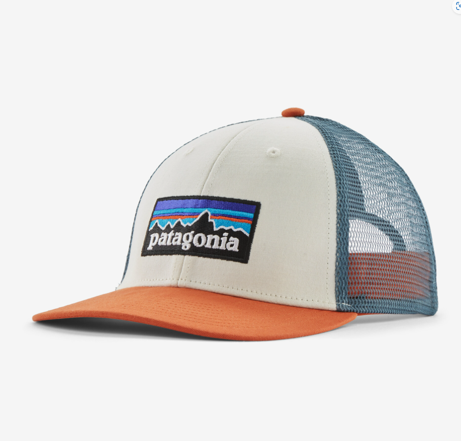 Patagonia P-6 Logo LoPro Trucker Hat