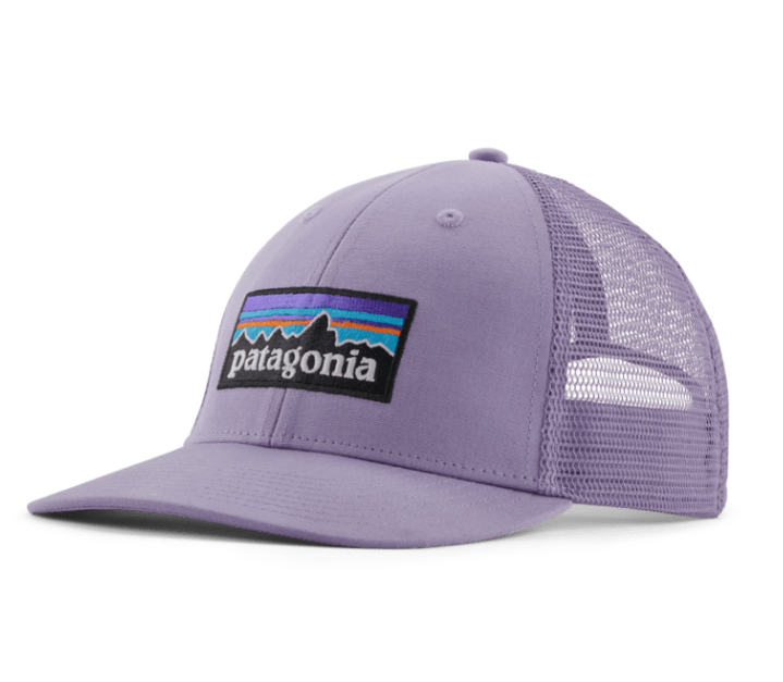 Patagonia P-6 Logo LoPro Trucker Hat