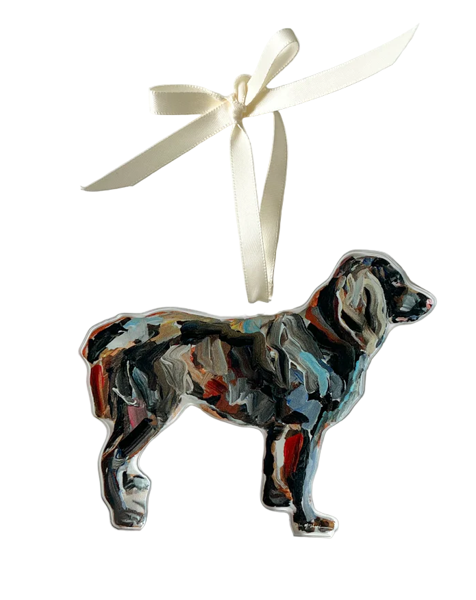 Chelsea Mcshane "Boykin" Ornament