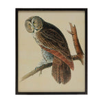 Wood Framed Vintage Owl Image